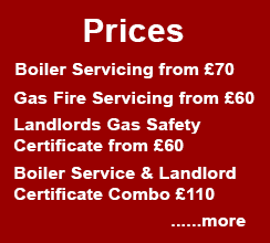 Special Offers